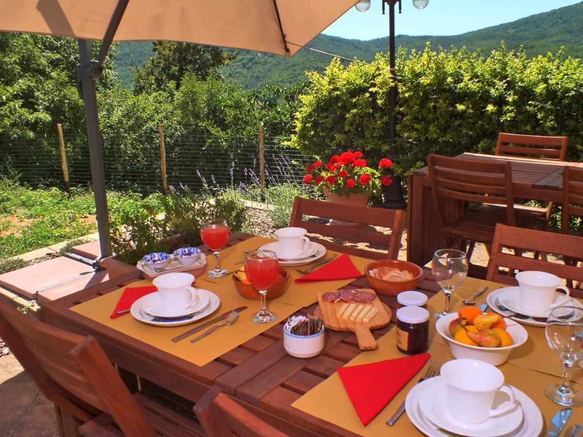 Agriturismo Colli Di Travale Montieri Exteriér fotografie