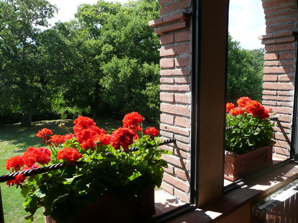 Agriturismo Colli Di Travale Montieri Pokoj fotografie